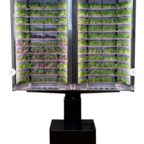 Вертикальная  ферма «Моя микрозелень» комплектация  «Театро настенная» - «globural.ru» - Краснознаменск