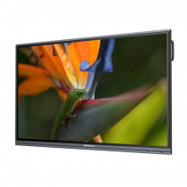 Интерактивный программно-аппаратный комплекс Geckotouch Interactive Pro IP75HT-E в комплекте с настенным креплением - «globural.ru» - Краснознаменск