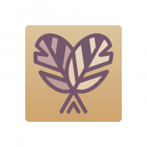 Тренажер-корректор зеркального письма “Почерк Леонардо” - «globural.ru» - Краснознаменск