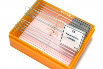 Набор микропрепаратов N10 - «globural.ru» - Краснознаменск