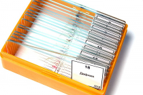 Набор микропрепаратов N18 - «globural.ru» - Краснознаменск