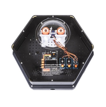 Модуль интерактивный с искусственным интеллектом "Наблюдатель" - «globural.ru» - Краснознаменск