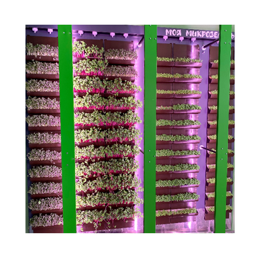 Вертикальная ферма "Моя Микрозелень" комплектация Школьная - «globural.ru» - Краснознаменск