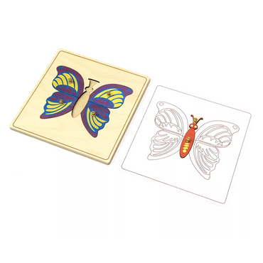 Строение бабочки с контуром. - «globural.ru» - Краснознаменск