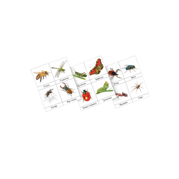 Фланелеграф "Насекомые" - «globural.ru» - Краснознаменск