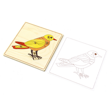 Строение птицы с контуром. - «globural.ru» - Краснознаменск