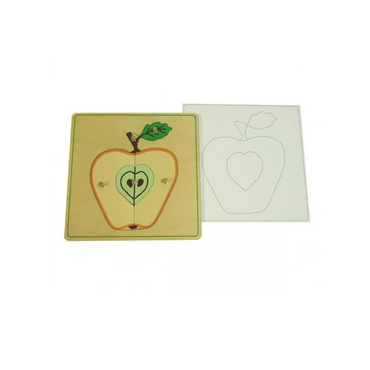 Части яблока с контуром - «globural.ru» - Краснознаменск