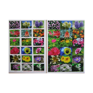 Английское лото "Цветы - травы" - «globural.ru» - Краснознаменск