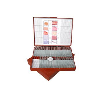 Комплект микропрепаратов "Анатомия" - «globural.ru» - Краснознаменск