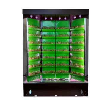 Вертикальная ферма "Моя Микрозелень" комплектация "Театро настольная" - «globural.ru» - Краснознаменск