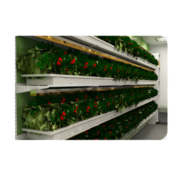 Стеллаж для выращивания клубники "Стена" - «globural.ru» - Краснознаменск