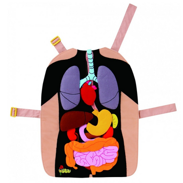 Фланелеграф-фартук "Анатомия" - «globural.ru» - Краснознаменск