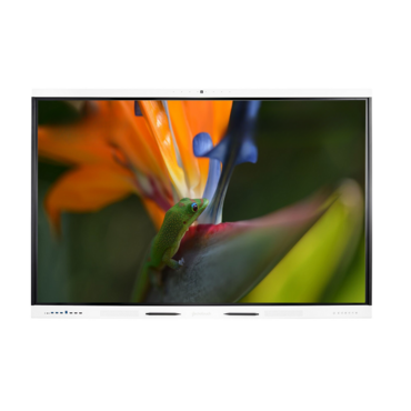 Интерактивная панель Geckotouch Interactive ​​​​​​75SL - «globural.ru» - Краснознаменск