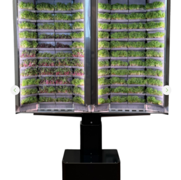 Вертикальная  ферма «Моя микрозелень» комплектация  «Театро настенная» - «globural.ru» - Краснознаменск