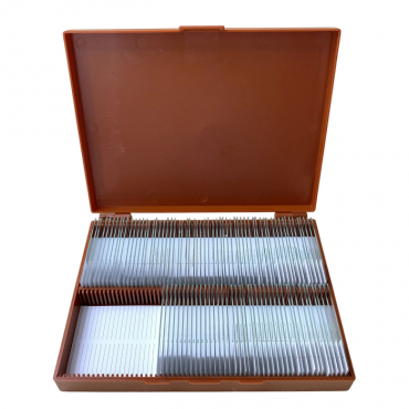 Комплект микропрепаратов по анатомии, ботанике, зоологии, общей биологии - «globural.ru» - Краснознаменск