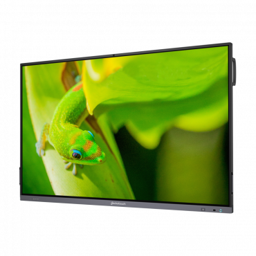 Интерактивный программно-аппаратный комплекс Geckotouch Interactive IP65GT-C в комплекте с настенным креплением - «globural.ru» - Краснознаменск