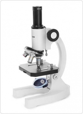 Микроскоп Школьный 2 - «globural.ru» - Краснознаменск