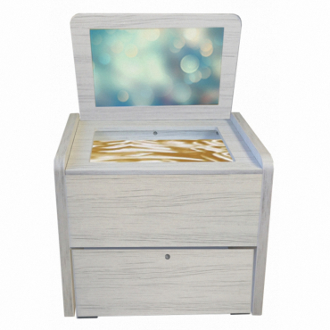 Сундучок психолога-дефектолога "Антошка" - «globural.ru» - Краснознаменск